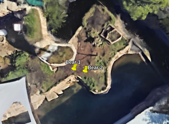 bear_location