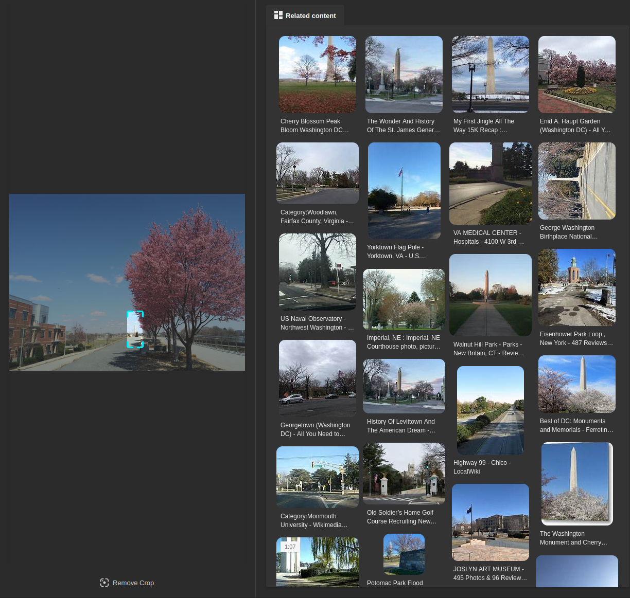 Bing Image Search